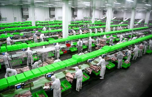 2020，南陽(yáng)城鄉(xiāng)巨變 三起來(lái)戰(zhàn)略如何勁推城市出新出彩